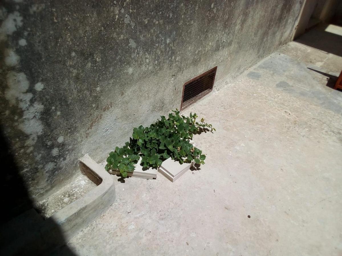 Cortile Calinea Bed & Breakfast Castrignano del Capo Bagian luar foto