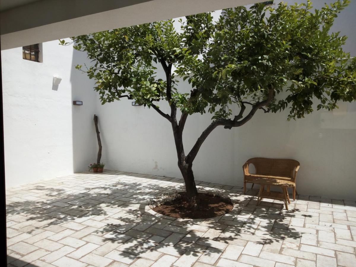 Cortile Calinea Bed & Breakfast Castrignano del Capo Bagian luar foto
