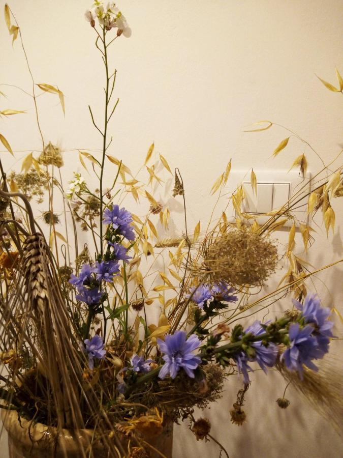 Cortile Calinea Bed & Breakfast Castrignano del Capo Bagian luar foto